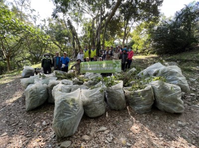 經過1天的努力，總共清除48 袋總重約384公斤的新鮮植物體，成效斐然。